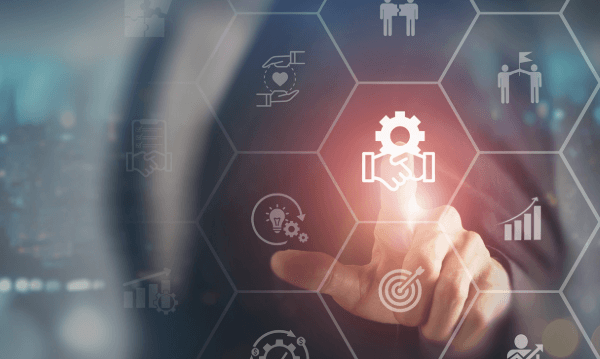 The Evolution of Digital Ecosystems in Business